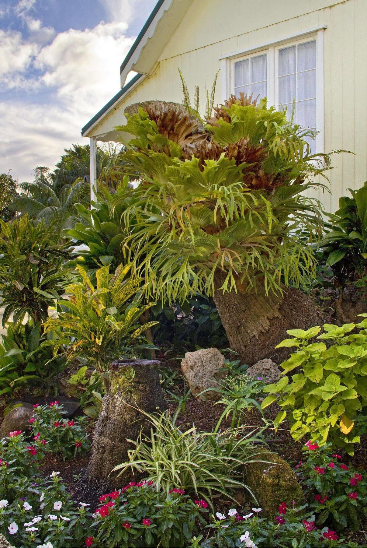 Castaway Norfolk Island Hotell Burnt Pine Eksteriør bilde